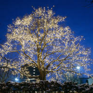 Hans Christian Andersen Christmas Fair